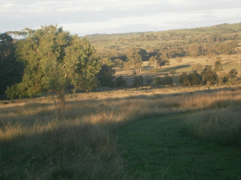Quinalow QLD 4403