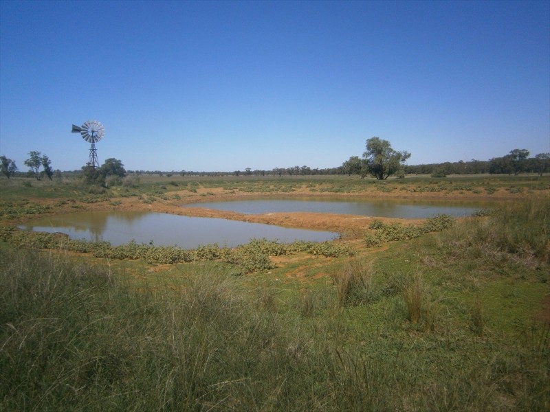 Quinalow QLD 4403