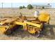 Cecil Plains QLD 4407