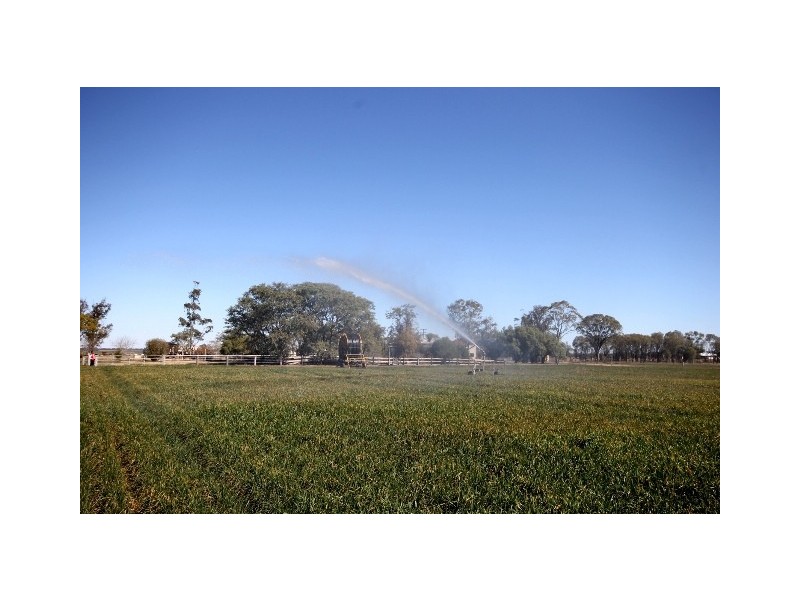 “Springfield” Warrego Highway, Dalby QLD 4405