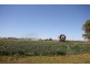 “Springfield” Warrego Highway, Dalby QLD 4405