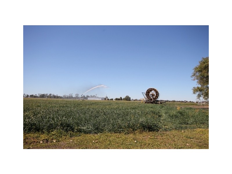“Springfield” Warrego Highway, Dalby QLD 4405