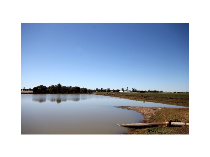 “Springfield” Warrego Highway, Dalby QLD 4405