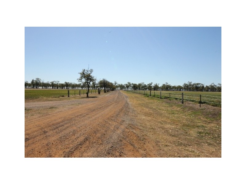 “Springfield” Warrego Highway, Dalby QLD 4405