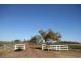 “Springfield” Warrego Highway, Dalby QLD 4405