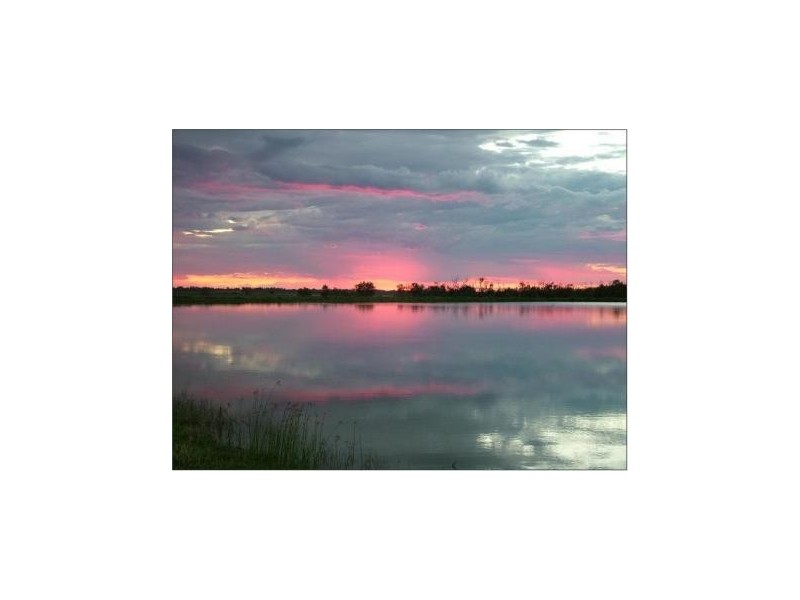 “Springfield” Warrego Highway, Dalby QLD 4405