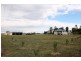 11 Sandalwood Ave South, Dalby QLD 4405