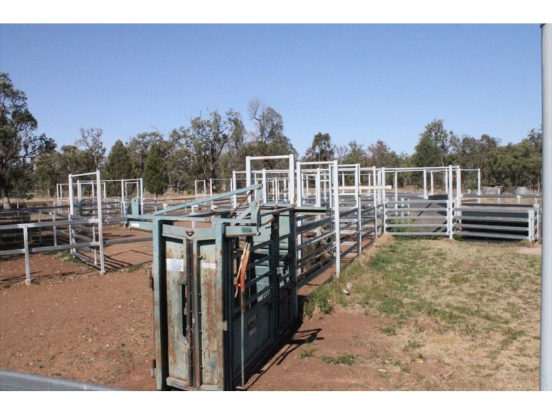 . “BAR-K” and “PINNEENA”, Chinchilla QLD 4413