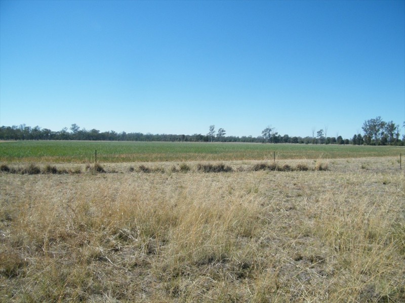 . “BAR-K” and “PINNEENA”, Chinchilla QLD 4413