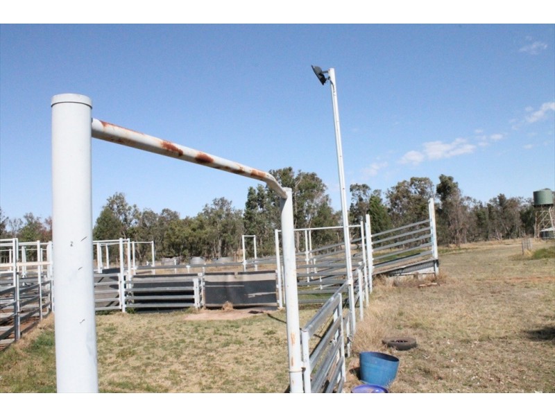 . “BAR-K” and “PINNEENA”, Chinchilla QLD 4413
