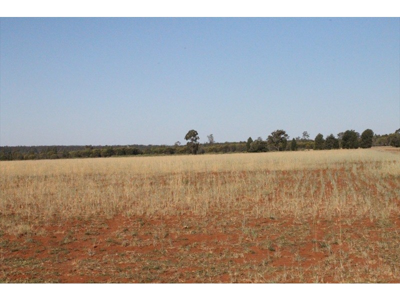 . Monteray., Chinchilla QLD 4413