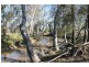 . Monteray., Chinchilla QLD 4413