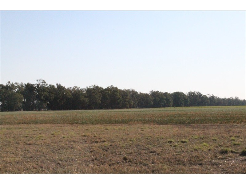 . Monteray., Chinchilla QLD 4413
