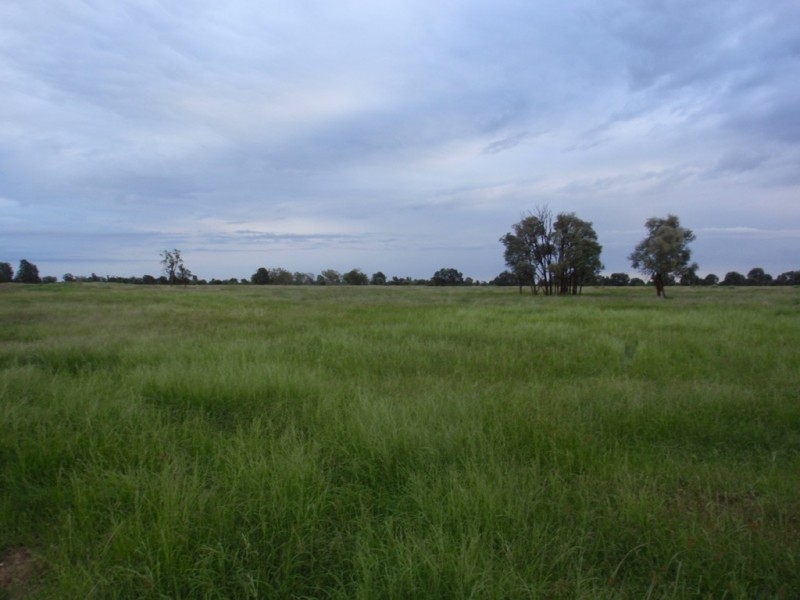. MYALL RIDGE, Meandarra QLD 4422