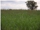 . MYALL RIDGE, Meandarra QLD 4422