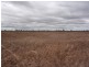 . MYALL RIDGE, Meandarra QLD 4422