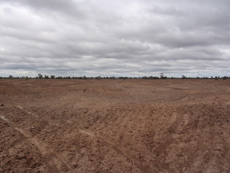 . MYALL RIDGE, Meandarra QLD 4422