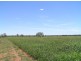 . MYALL RIDGE, Meandarra QLD 4422