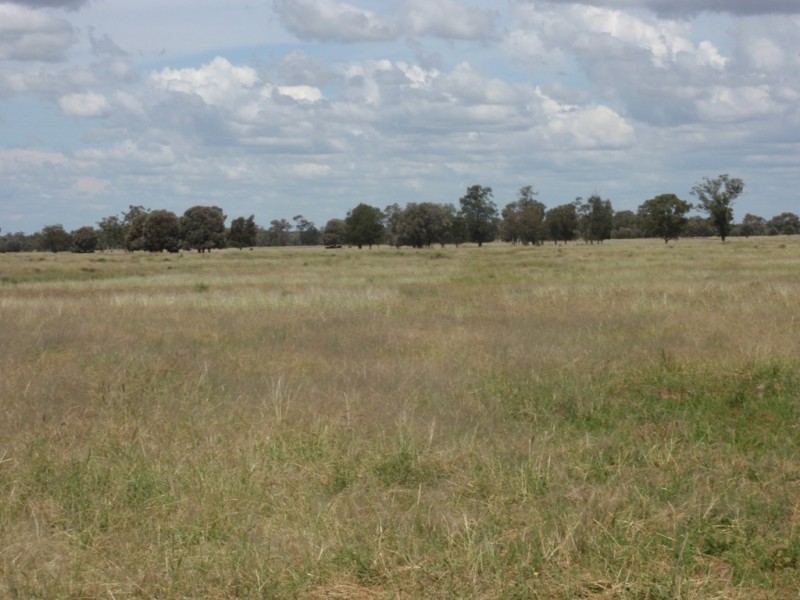 . MYALL RIDGE, Meandarra QLD 4422