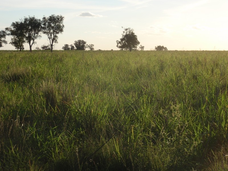 . MYALL RIDGE, Meandarra QLD 4422