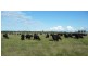 Drillham QLD 4424