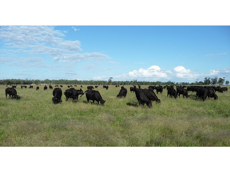 Drillham QLD 4424