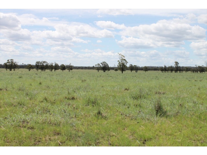 Drillham QLD 4424