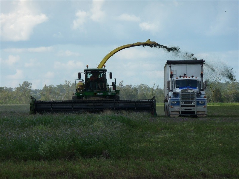 Drillham QLD 4424