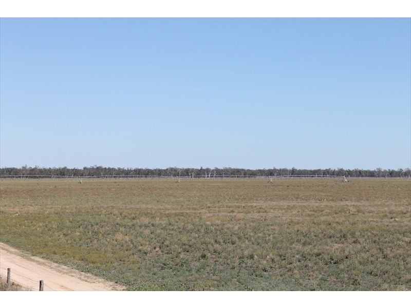 Cecil Plains QLD 4407