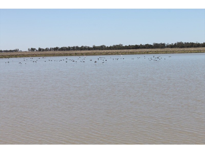 Cecil Plains QLD 4407