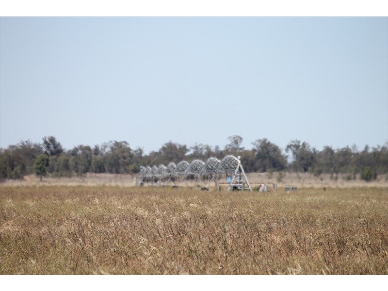 Cecil Plains QLD 4407