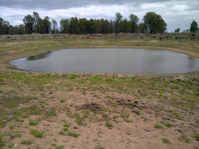 Cecil Plains QLD 4407