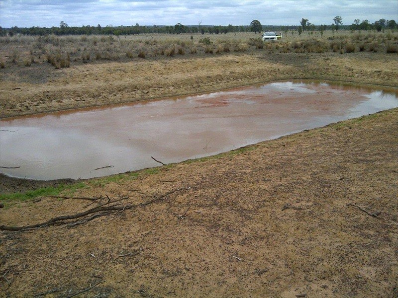 Cecil Plains QLD 4407