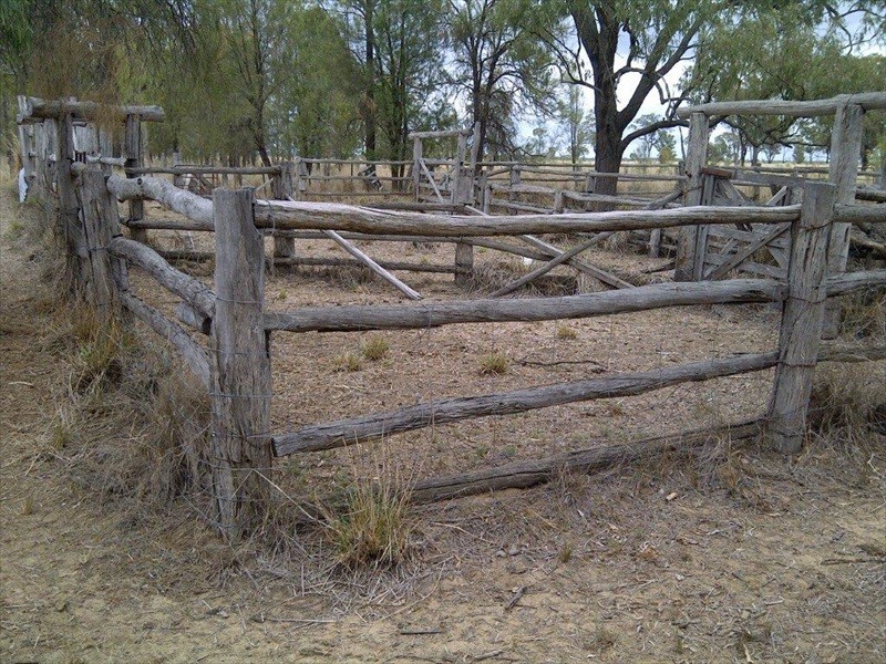 Cecil Plains QLD 4407