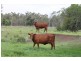 . KINCOORA, Jandowae QLD 4410