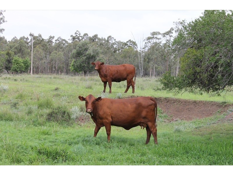 . KINCOORA, Jandowae QLD 4410