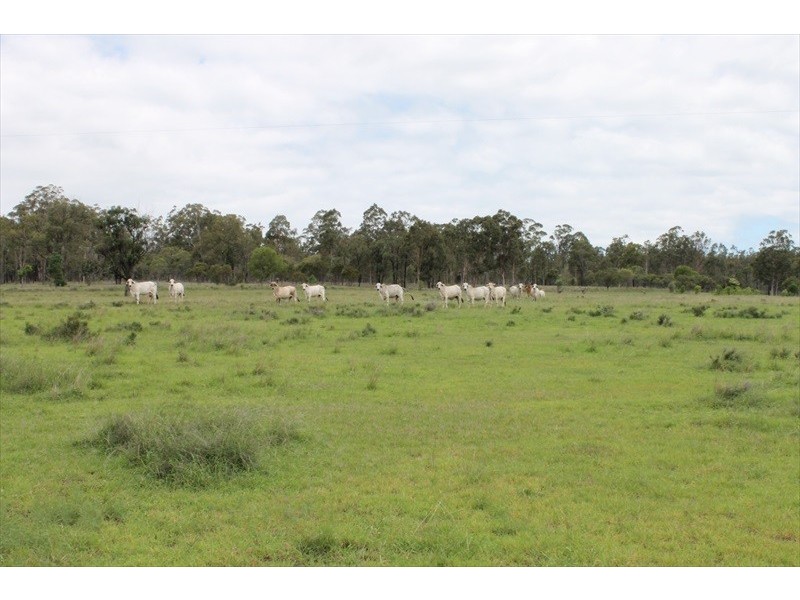 . KINCOORA, Jandowae QLD 4410