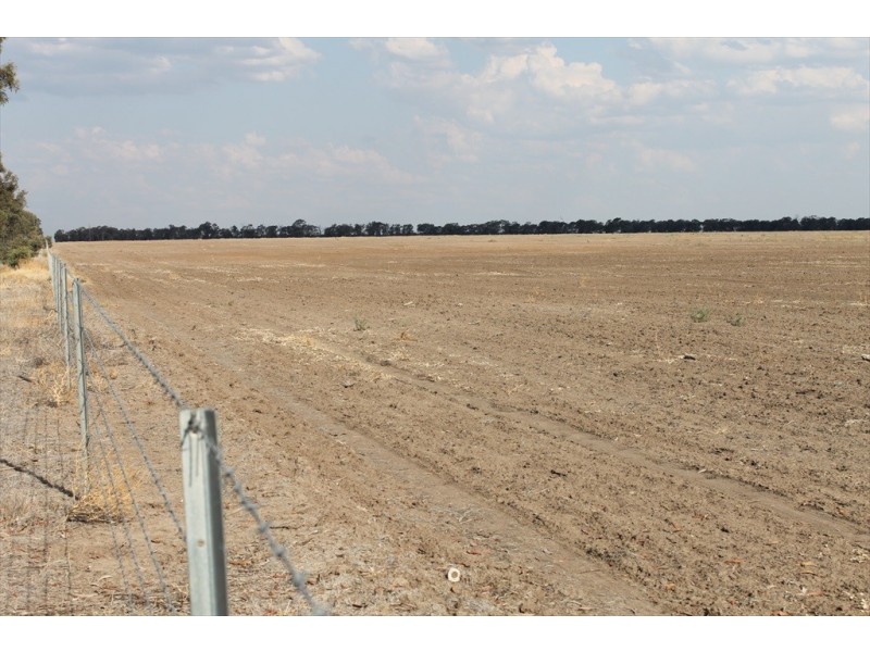 . WYOLA, Meandarra QLD 4422