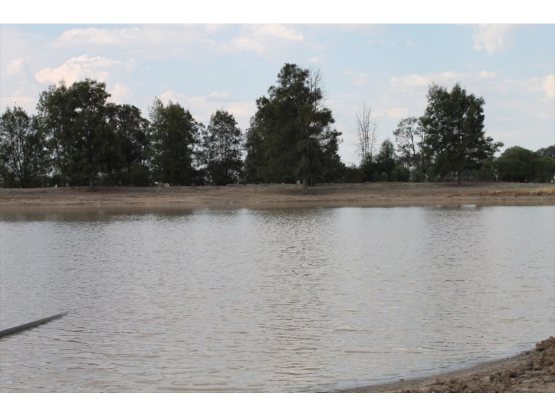 . WYOLA, Meandarra QLD 4422