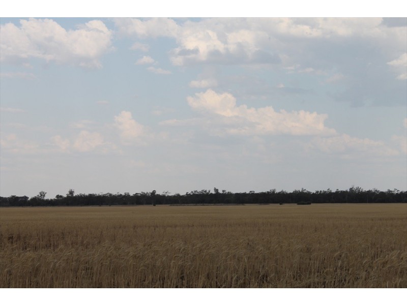 . WYOLA, Meandarra QLD 4422