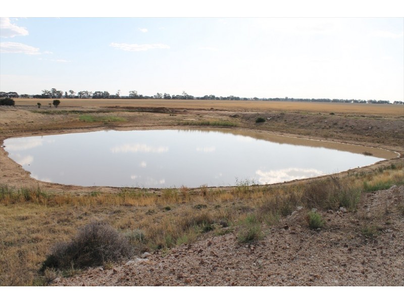 . WYOLA, Meandarra QLD 4422