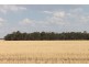 . MOUNT PLEASANT AND WYOLA, Meandarra QLD 4422