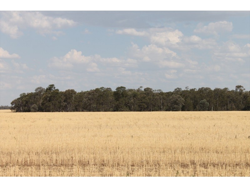 . MOUNT PLEASANT AND WYOLA, Meandarra QLD 4422