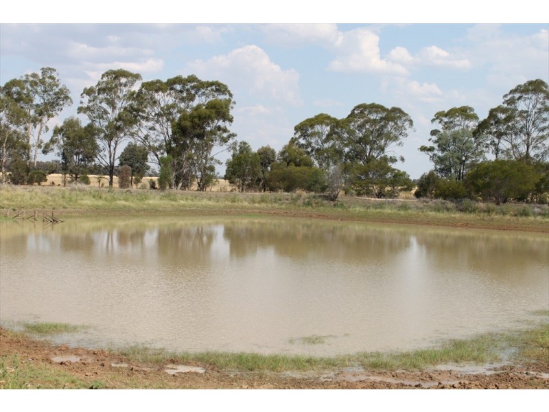 . MOUNT PLEASANT AND WYOLA, Meandarra QLD 4422