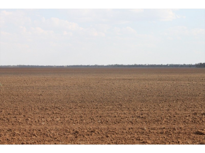 . MOUNT PLEASANT AND WYOLA, Meandarra QLD 4422