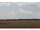 . MOUNT PLEASANT AND WYOLA, Meandarra QLD 4422