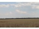 . MOUNT PLEASANT AND WYOLA, Meandarra QLD 4422