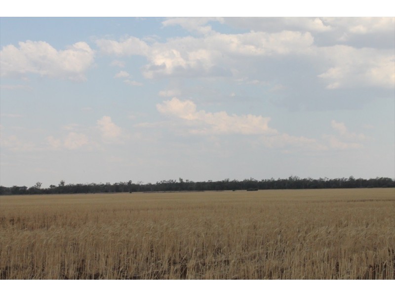 . MOUNT PLEASANT AND WYOLA, Meandarra QLD 4422