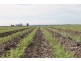 Dalby QLD 4405