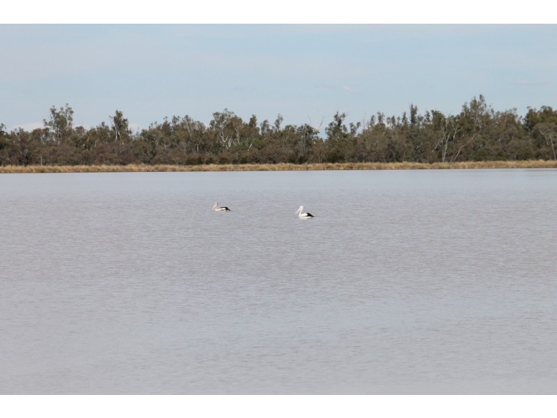 Dalby QLD 4405